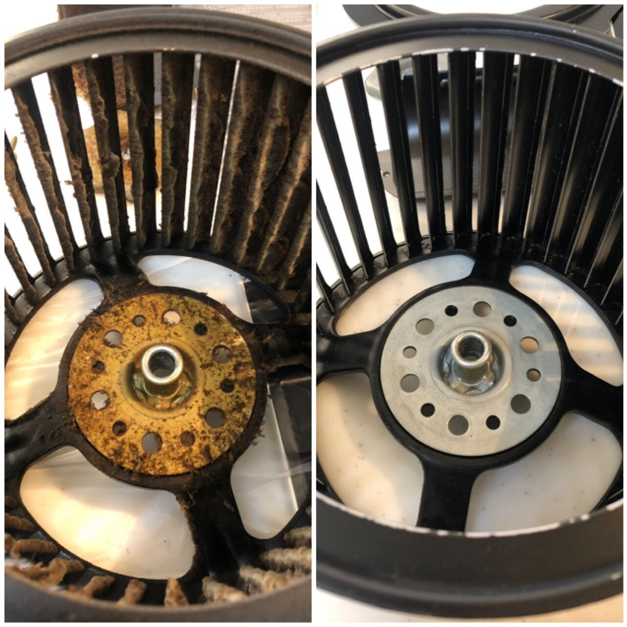 S__53403709