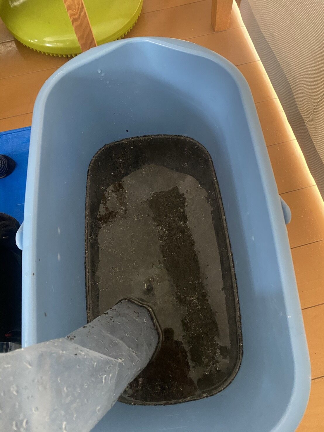 ダウンロード